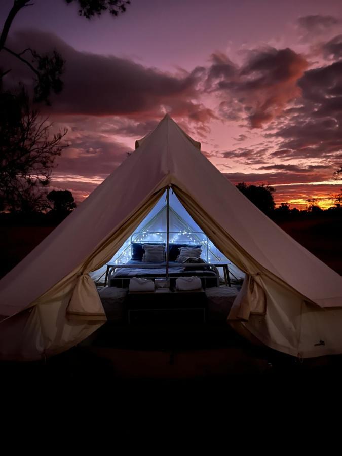 Mungo Lodge Exteriér fotografie